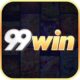 99Win: Những Điều Cần Biết Trước Khi Tham Gia Copy
